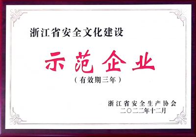 浙江省安全文化建设示范企业